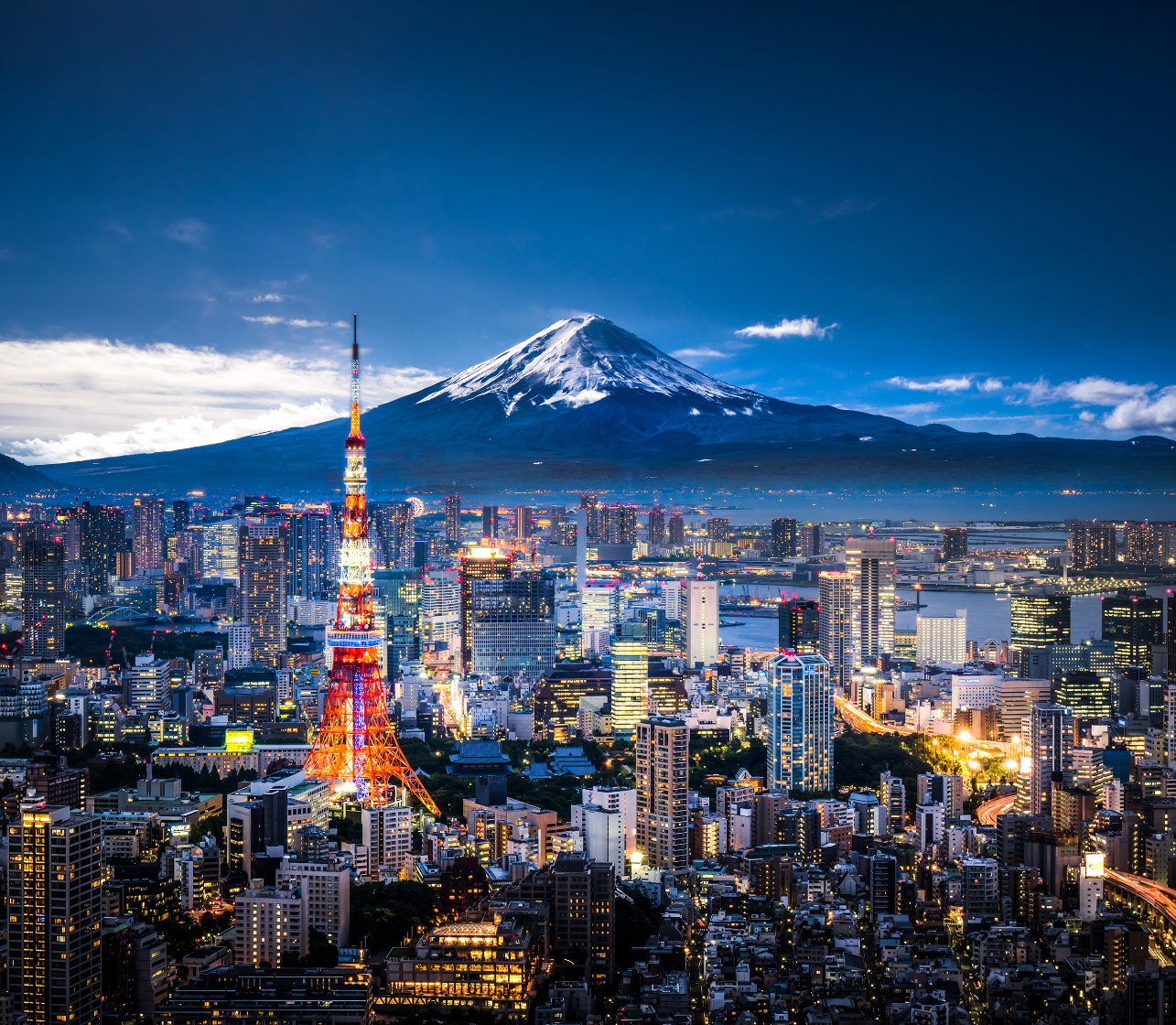 Tokyo skyline at night with Mount Fuji in the background